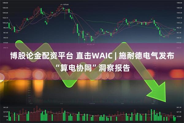 博股论金配资平台 直击WAIC | 施耐德电气发布“算电协同”洞察报告